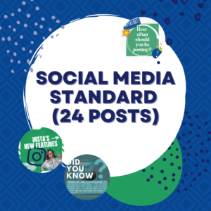 social media package standard - 24 posts