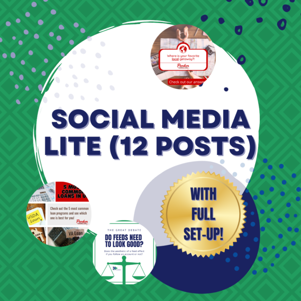 social media package - lite - 12 posts