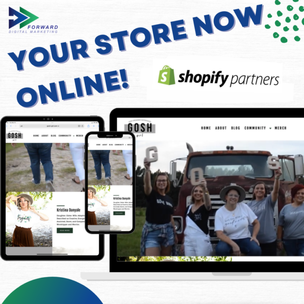 you store now online shopify partners