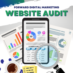 fdm website audit product