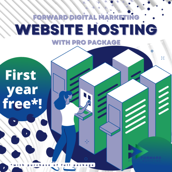 website hosting wit hpro package product. - first year free